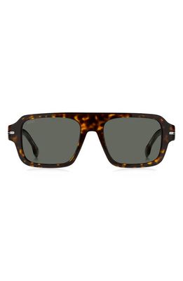 BOSS 53mm Flat Top Sunglasses in Havana/Green Antireflex