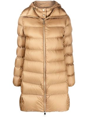 BOSS down-padded hooded coat - Brown