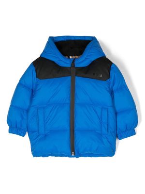 BOSS Kidswear hooded quilted jacket - Blue