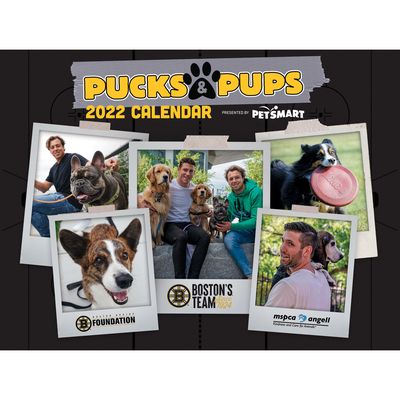 Boston Bruins 2022 Pucks & Pups Wall Calendar