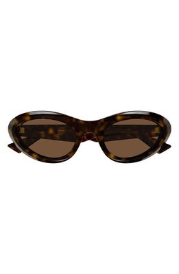 Bottega Veneta 53mm Panthos Sunglasses in Havana