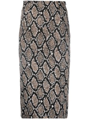BOUTIQUE MOSCHINO snakeskin-print pencil skirt - Black