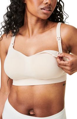 Bravado Designs Intrigue Nursing Bra in Pearl 