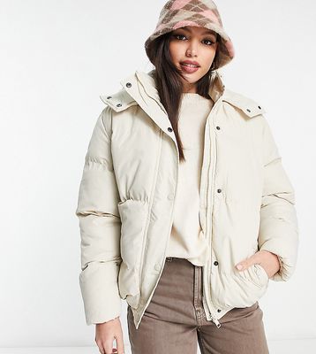 Brave Soul Tall bunny hooded puffer jacket in cream-White