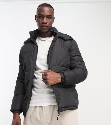 Brave Soul Tall puffer jacket with hood in black