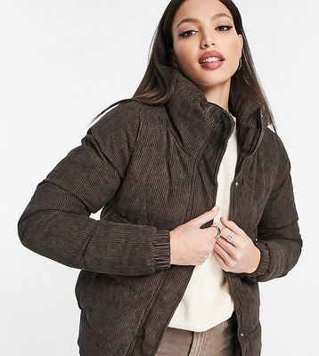 Brave Soul Tall slay cord puffer jacket in chocolate brown