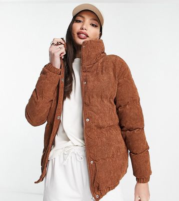 Brave Soul Tall slay cord puffer jacket in tan-Brown