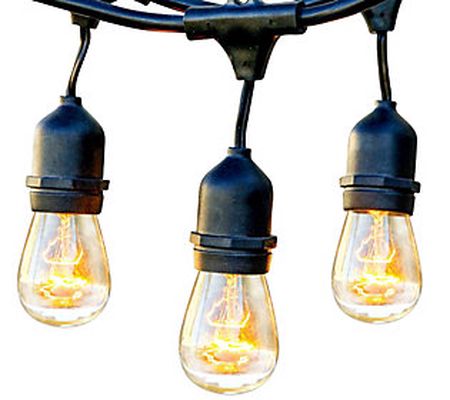 Brightech Ambience Pro Incandescent 11W S14 48F String Lights