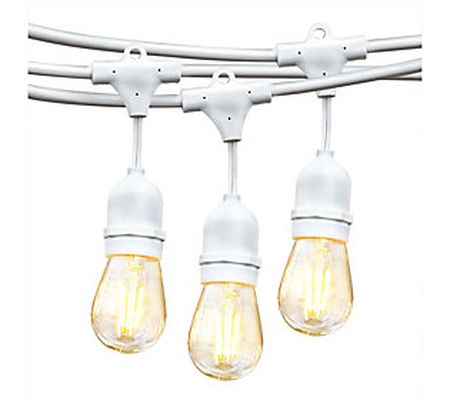 Brightech Ambience Pro LED 2W S14 48 Ft String ights White
