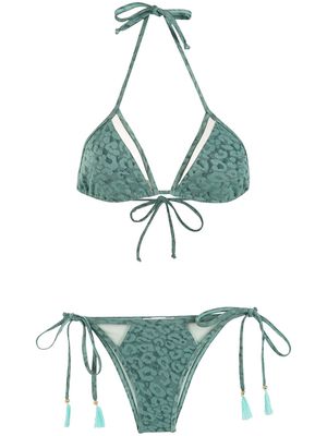 Brigitte leopard-print cut-out bikini - Green