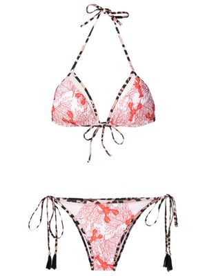 Brigitte sea life-print bikini set - Multicolour
