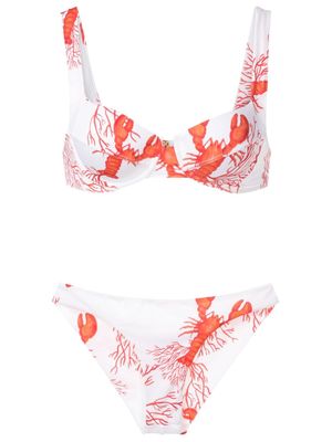 Brigitte sea life-print bikini set - Red