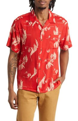 Brixton Bunker Tropical Short Sleeve Button-Up Camp Shirt in Aloha Red/White/Coconut