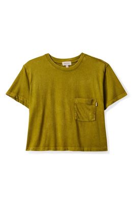 Brixton Carefree Organic Cotton Pocket T-Shirt in Moss
