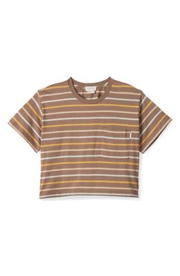 Brixton Carefree Stripe Organic Cotton Crop Pocket T-Shirt in Twig