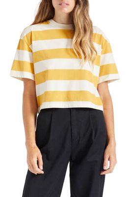 Brixton Hilt Alpha Line Stripe Cotton Crop T-Shirt in Bright Gold