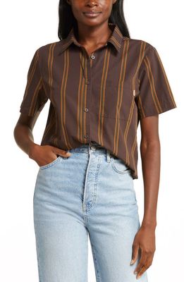 Brixton Sidney Stripe Short Sleeve Cotton Button-Up Shirt in Seal Brown