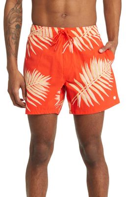 Brixton Voyage Shorts in Aloha Red
