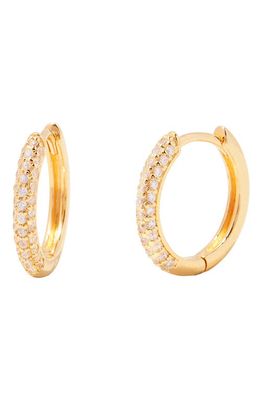Brook and York Cecile Pavé Cubic Zirconia Hoop Earrings in Gold