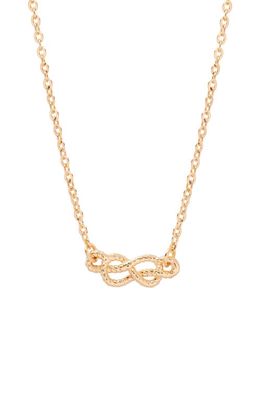 Brook and York Crew Necklace in Gold