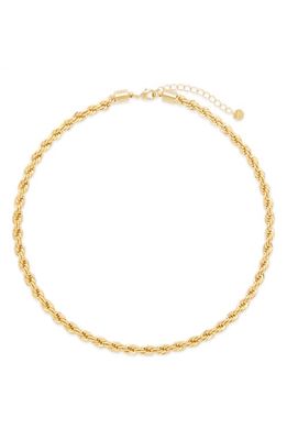 Brook and York Jovie Twisted Rope Chain Necklace in Gold
