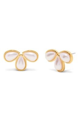 Brook and York Sandy Imitation Pearl Stud Earrings in Gold