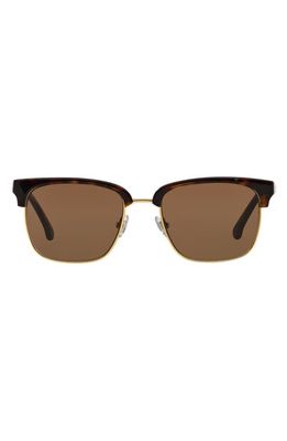 Brooks Brothers 53mm Square Sunglasses in Gold Tortoise/Brown