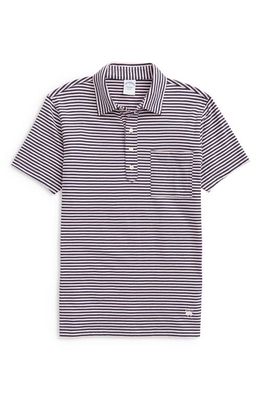 Brooks Brothers Men's Stripe Cotton Polo Shirt in Navy/Pink