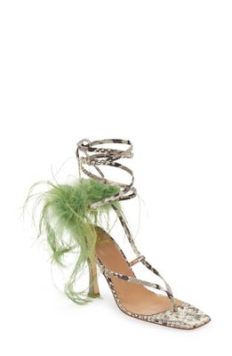 Brother Vellies Feather Ankle Tie Sandal in Snake/cactus