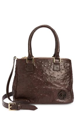 Brother Vellies Palila Faux Ostrich Leather Shoulder Bag in Espresso