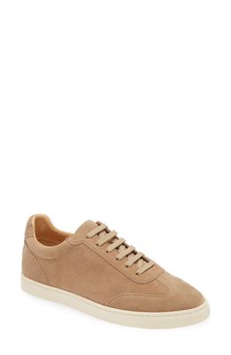 Brunello Cucinelli Suede Low Top Sneaker in Beige