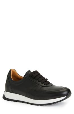Bruno Magli Ace Sneaker in Black