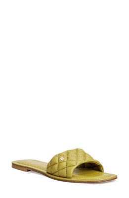 Bruno Magli Ayla Slide Sandal in Citron