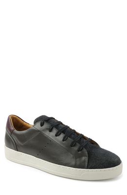 Bruno Magli Dante Sneaker in Dark Grey/Wool