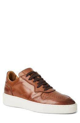 Bruno Magli Dezi Leather Sneaker in Cognac