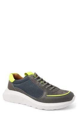 Bruno Magli Francio Sneaker in Grey