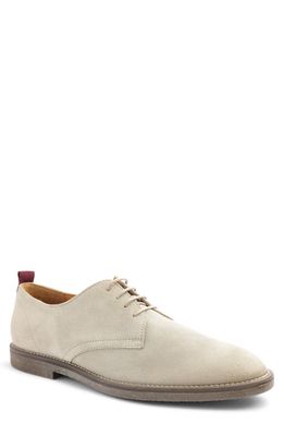 Bruno Magli Sal Water Repellent Plain Toe Derby in Sand Suede