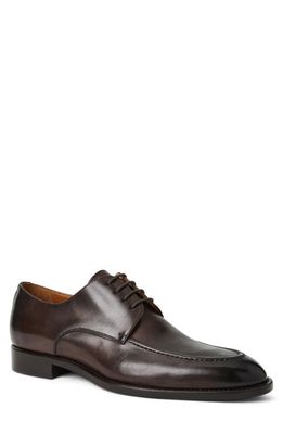 Bruno Magli Santino Blucher in Brown