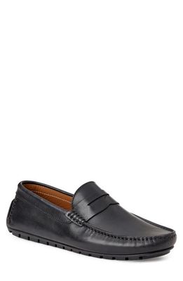 Bruno Magli Xane Driving Penny Loafer in Black Leather