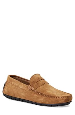 Bruno Magli Xane Driving Penny Loafer in Cognac Suede