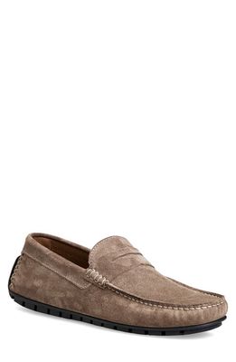 Bruno Magli Xane Driving Penny Loafer in Taupe Suede