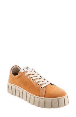 Bueno Talia Platform Sneaker in Apricot Suede