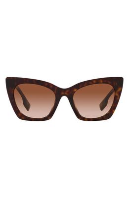 burberry 52mm Cat Eye Sunglasses in Dark Havana