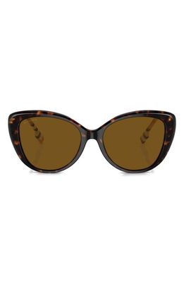 burberry 54mm Polarized Cat Eye Sunglasses in Dark Havana