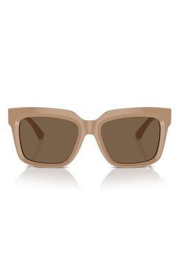 burberry 54mm Square Sunglasses in Beige