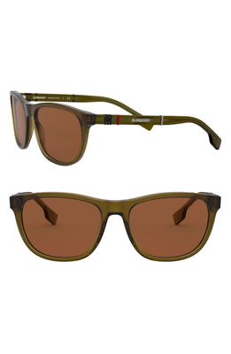 burberry 58mm Rectangular Sunglasses in Transparent Olive/Brown