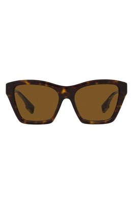 burberry Arden 54mm Square Sunglasses in Dk Havana