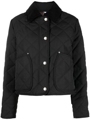 Burberry corduroy-collar quilted cropped jacket - Black