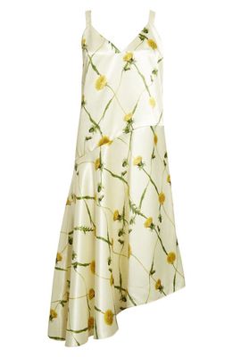 burberry Dandelion Argyle Asymmetric Satin Midi Dress in Sherbet Ip Pattern