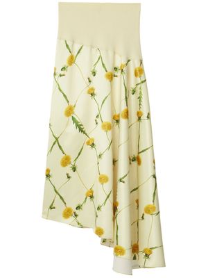 Burberry Dandelion-print asymmetric skirt - Neutrals